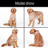 Waterproof Dog Raincoat