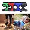 BREATHABLE SMALL DOG PET HARNESS AND LEASH