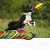 Slow Feed Pet Bowl Small