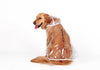 Waterproof Dog Raincoat
