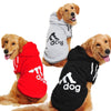 Big Dog Hoodie