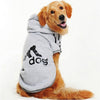 Big Dog Hoodie