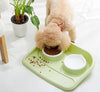 Dog Feeder Drinking Bowls for dogs