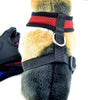 Adjustable Breathable Vest Collars Dog