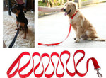Pet Lead Leash for Dogs  Nylon Walk Dog