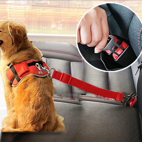 Dog Car Belt