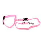 Attractive Beautiful Colorful Popular Traction Pulling Leash Dog