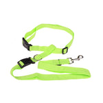 Attractive Beautiful Colorful Popular Traction Pulling Leash Dog