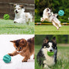 Interactive Rubber Ball Pet Teething Toy