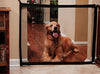 Magic Gate Portable Folding Safe Guard