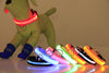 Nylon Pet Dog Collar LED Light Night Safety