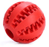 Interactive Rubber Balls Dog Toys