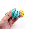 Interactive Rubber Balls Dog Toys